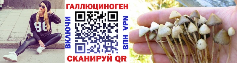 купить Сольцы Псилоцибиновые грибы мицелий