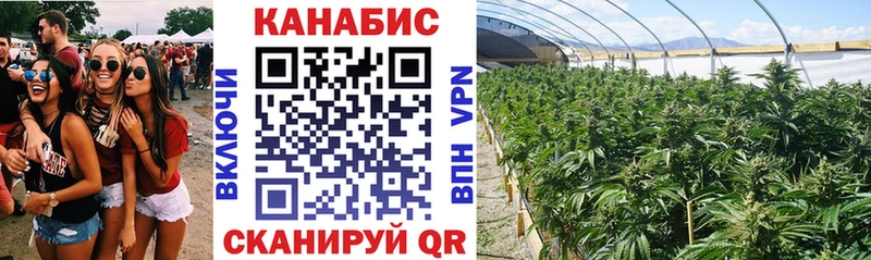 Каннабис Amnesia  Сольцы 